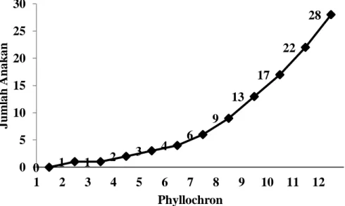 Gambar 3. Jumlah anakan Varietas PB42 yang terbentuk sampai phyllochron ke 12 