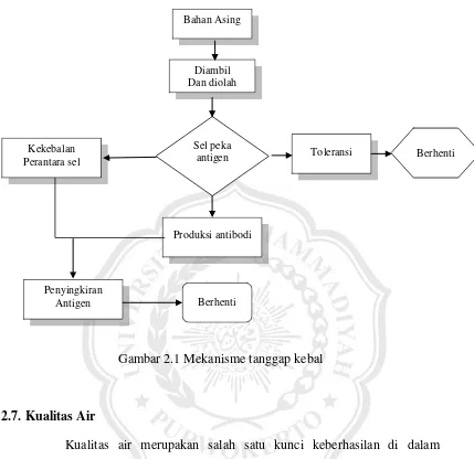 Gambar 2.1 Mekanisme tanggap kebal 