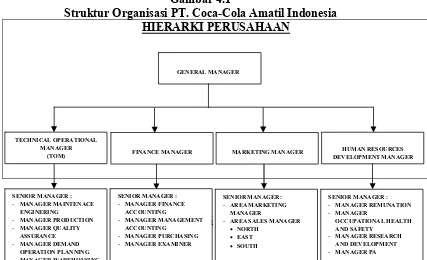 Gambar 4.1 Struktur Organisasi PT. Coca-Cola Amatil Indonesia 