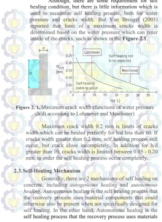 Figure 2. 1. Maximum crack width (functions of water pressure 