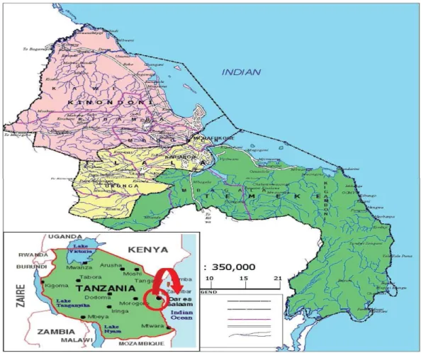 Figure 3.1:  Map of Dar es Salaam Region 