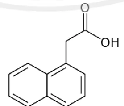 Gambar 2.8. struktur kimia Naphtalena Acetic Acid (NAA) (Dippy, et al., 1954) 