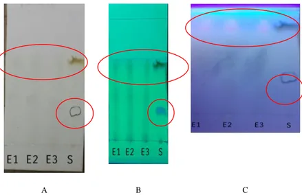 Gambar 1. Hasil identifikasi senyawa flavonoid Ekstrak dan  Standar pada  (A) Sinar visible (B) Sinar UV 254nm (C) Sinar  