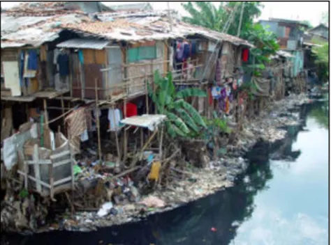 Gambar 3. Tumbuhnya  pemukiman  liar di kawasan badan sungai mengakibatkan penyempitan saluran sungai dan meninjgkatnya limbah padat/ sampah