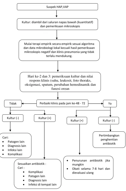 Gambar 2.2. Ringkasan Penatalaksanaan HAP dan VAP (ATS, 2005) 