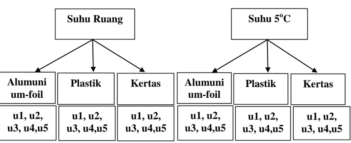 Ilustrasi 1. Bagan  Percobaan RAL Pola Tersarang 