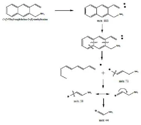 Gambar 3. Pola fragmentasi untuk senyawa C-(3-Vinyl- naphthalen-2-yl)- naphthalen-2-yl)-methylamine (m/z: 183)