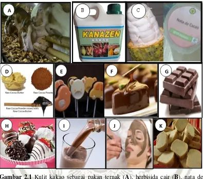 Gambar 2.1 Kulit kat kakao sebagai pakan ternak (