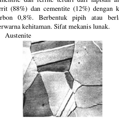 Gambar 2. 11 Hasil metalografi fasa austenite 
