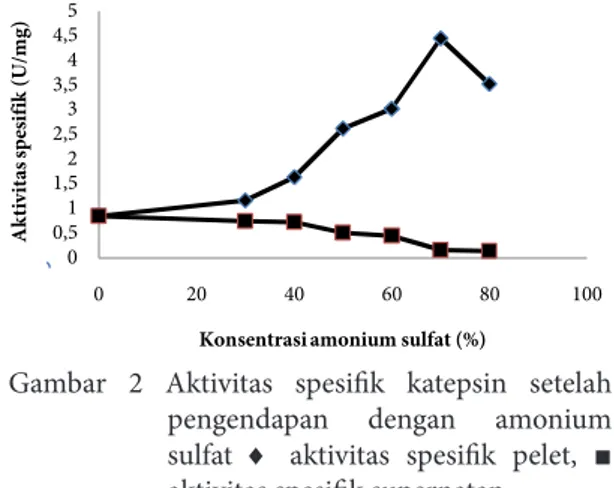 Gambar  2  Aktivitas  spesifik  katepsin  setelah  pengendapan  dengan  amonium  sulfat  ♦  aktivitas  spesifik  pelet,  ■   aktivitas spesifik supernatan