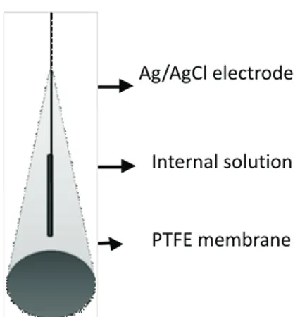 Figure 1. Membrane Construction Membrane transport characterization 