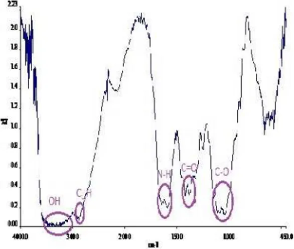 Gambar 1. FTIR spektra larutan kitosan Hasil  perhitungan  berdasarkan  hasil  FTIR dan  Persamaan  1  menunjukkan  bahwa  larutan kitosan  tersebut  memiliki  derajat  deasitilasi  sebesar 65%