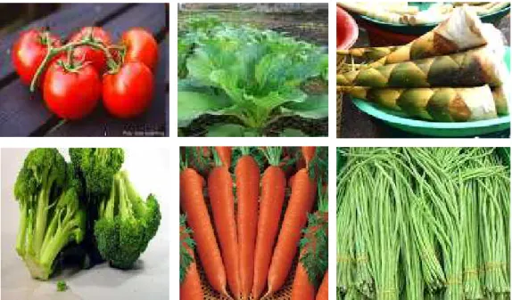 Gambar 1.  Berbagai jenis hasil panen sayuran