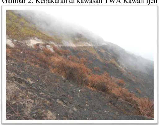 Gambar 2. Kebakaran di kawasan TWA Kawah Ijen 