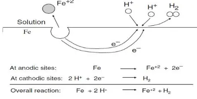 Gambar 2.2 Reaksi Evolusi Hidrogen pada Asam 