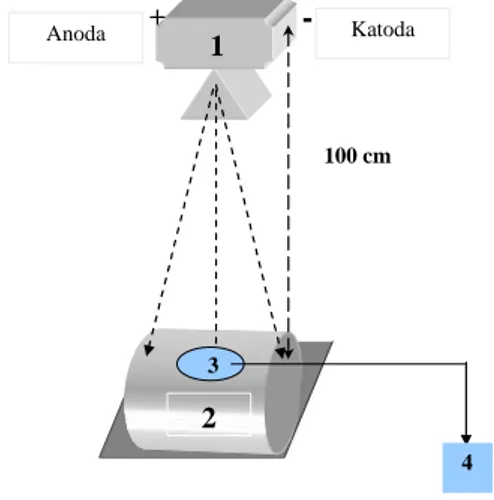 Gambar 1. Skema pengukuran ESE. Ket.: 1. 