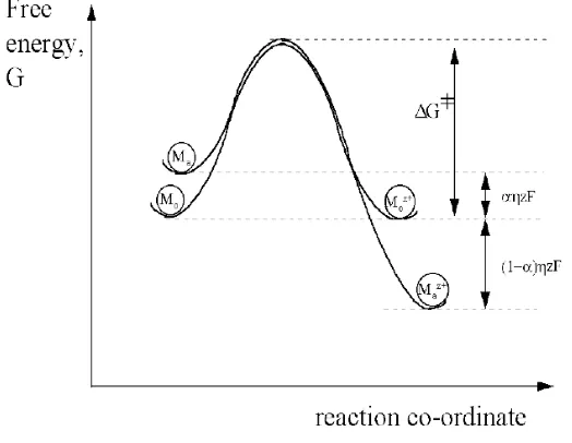 Gambar 2.6 Profil energi untuk anodik dalam kesetimbangan (M0) dan profil polarisasi aktivasi anodik (http://documents.tips/documents/bab-iii-kinetika-korosi.html) 