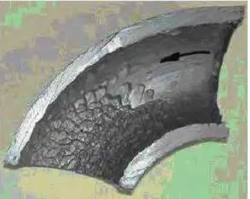 Gambar 2.11 Ammonium bisulfide corrosion pada baja 