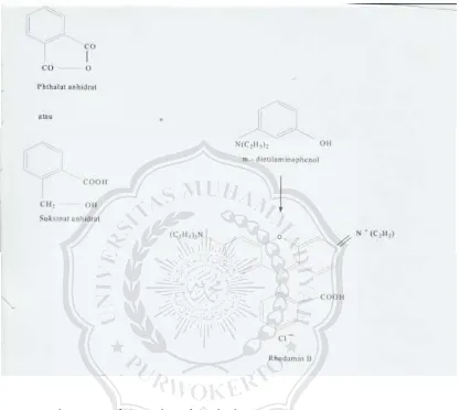 Gambar 2.2 Reaksi pembentukan rhodamin B 