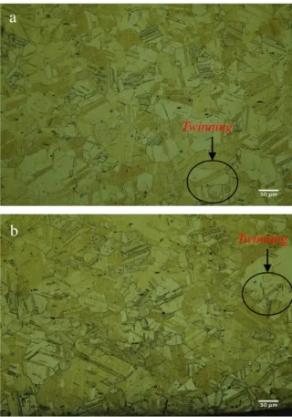 Tabel  3.Hasil  pengukuran  dimensi  benda  uji  sebelum  dan  sesudah  proses  pencanaian  pada  temperatur  300°C  dengan  media  pendingin  udara  Ko de  Ho (m m)  Hf  (mm)  %  aktual  % teor i  ԑ  aktual  ἐ  akt ual  0  3,1  3,1  3,1  3,1  -  -  0 1 1,