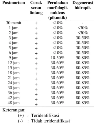 Tabel 1. Perubahan mikroskopik pada jaringan  otot  skelet  hewan  coba  postmortem  dalam  berbagai variasi waktu (400x) 