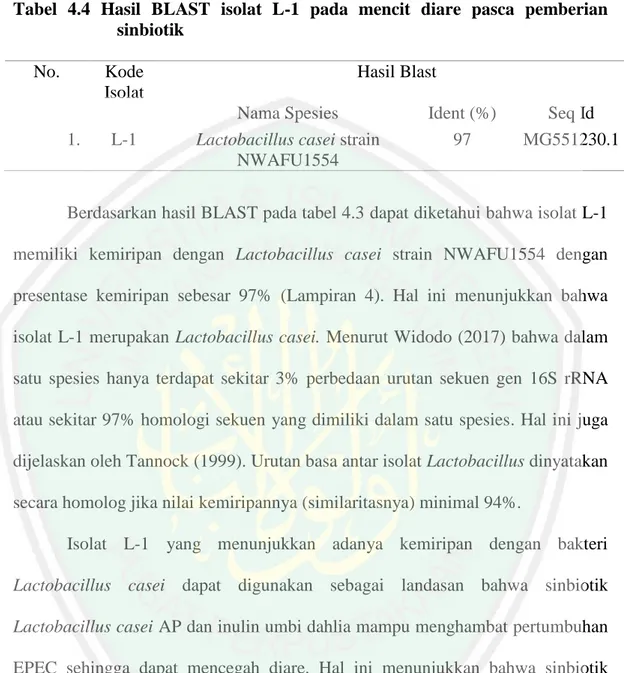 Tabel  4.4  Hasil  BLAST  isolat  L-1  pada  mencit  diare  pasca  pemberian  sinbiotik 