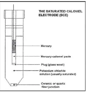 Gambar 2.8 Elektroda Acuan Hg2Cl2 