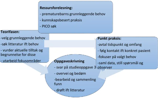 Fig. 1. Teori-praksis læringsmodell  læringsmodell 