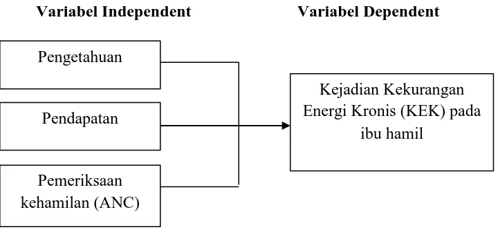 Gambar 2.1 Kerangka Konsep Penelitian 