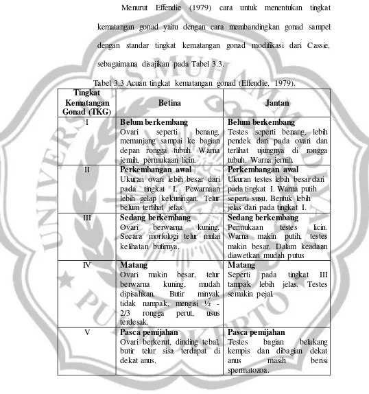 Tabel 3.3 Acuan tingkat kematangan gonad (Effendie, 1979). 