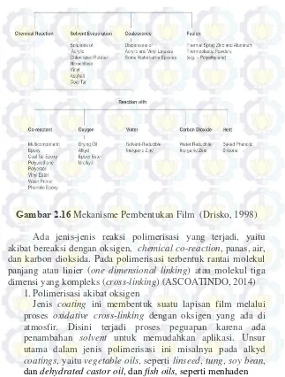 Gambar 2.16 Mekanisme Pembentukan Film  (Drisko, 1998) 