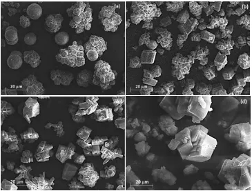 Gambar 4.4. Mikromorfologi CaCO3 hasil proses karbonasi dengan kecepatan aliran gas CO2 berbeda (a) 2 SCFH   (b) 5 SCFH    (c)  7 SCFH     (d)  10 SCFH 