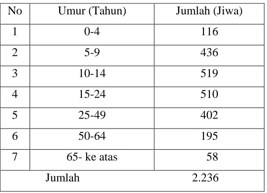 Tabel 2.1 Jumlah Penduduk Desa Simangumban Jae Berdasarkan Tingkat Umur Tahun 1995 