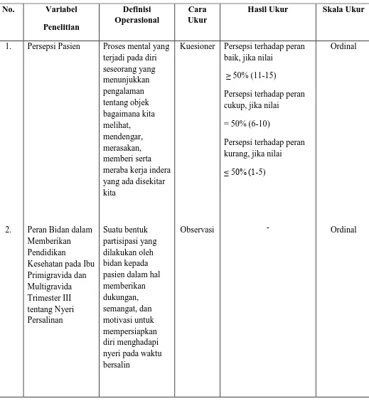 Tabel 3.1. Variabel Penelitian dan Definisi Operasional 