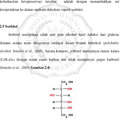 Gambar 2.4 Struktur kimiawi sorbitol (Karakas, 2001) 