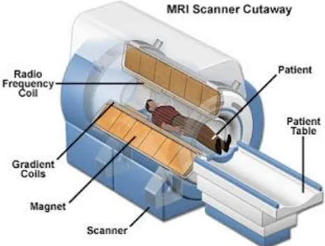 Gambar 2.4 Sketsa MRI [6] 