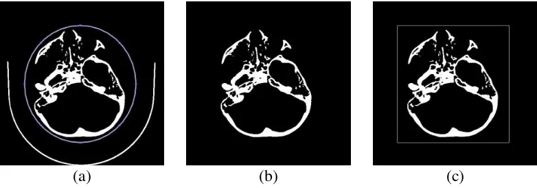 Gambar 3.3 (a) Elips Biru, (b) Hasil ROI, (c) Lokasi Komputasi 
