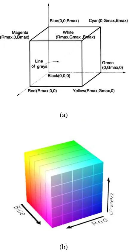 Gambar 2.5 Representasi warna RGB dalam system koordinat tiga dimensi (a), visualisasi warna dalam RGB (b) 