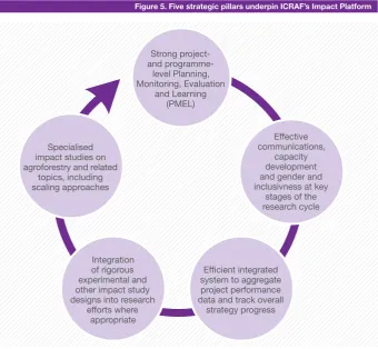 Figure 5. Five strategic pillars underpin ICRAF’s Impact Platform