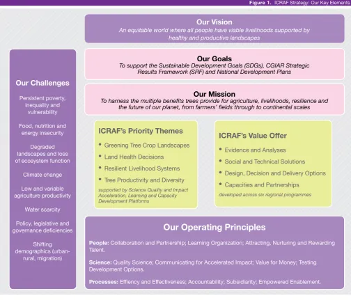 Figure 1.  ICRAF Strategy: Our Key Elements