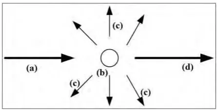 Gambar 2.3. Model dari hamburan volume kecil dari atmosfer. (a) adalah cahaya masuk, (b) adalah volume kecil dari partikel, (c) adalah flux cahaya yang dihamburkan Φ, (d) adalah cahaya yang tidak dihamburkan, dan (e) adalah kamera