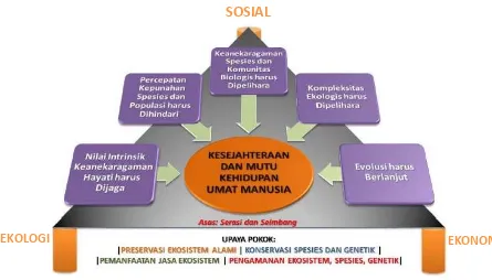Gambar  3  Sustainable Development Trilogy 