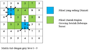 Gambar 2.3 Piksel yang diamati dan Region 