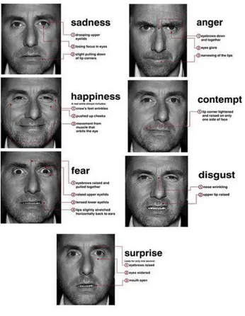 Gambar 2.1 Contoh emosi Micro-expressions 