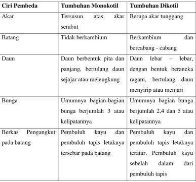 Tabel 2.1 Ciri Pembeda Tumbuhan Dikotil dan Monokotil 