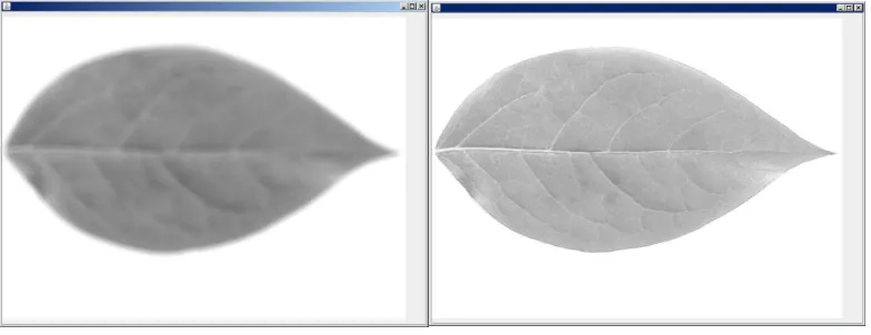 Gambar 4.6 Hasil proses blur dan konversi ke grayscale 
