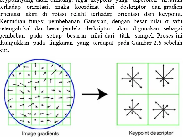 Gambar 2.6 Deskriptor dari perhitungan besar gradien dan orientasi serta gambar lingkaran Gaussian (kiri) dan gambar deskriptor keypoint(kanan) [4] 