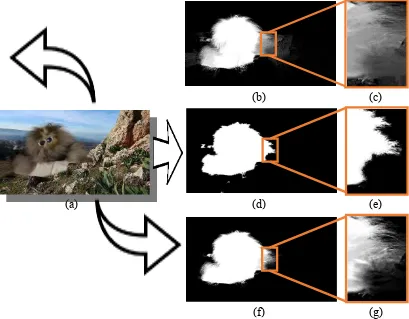 Gambar 4.3. Perbedaan visual ekstraksi matte (a).  terekstraksi dengan input image, (b,c)