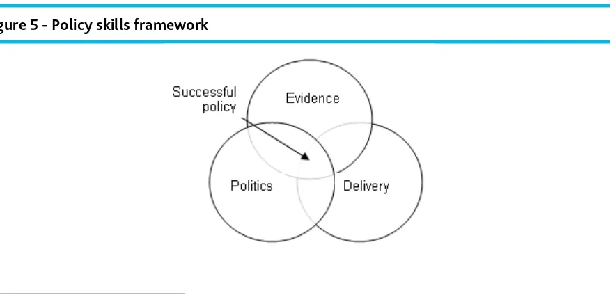 Figure 5 - Policy skills framework 