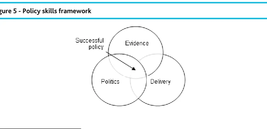 Figure 5 - Policy skills framework 